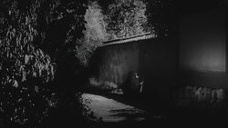 Recommandation 1