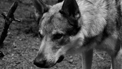 Recommandation 1