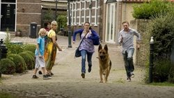 Snuf de Hond en de IJsvogel background image