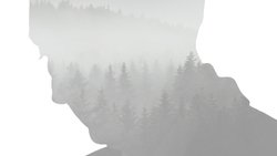 Recommandation 1