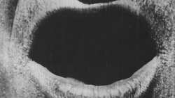 Recommandation 1