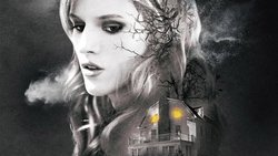 Recommandation 1