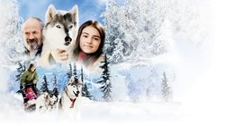 Recommandation 1