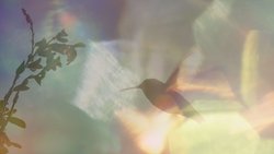 Recommandation 1