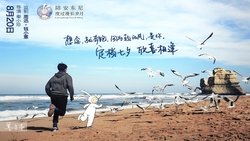 Recommandation 1