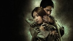 Recommandation 1
