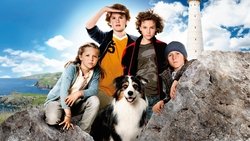 Recommandation 1