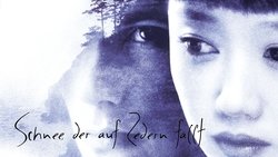 Recommandation 1