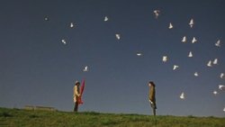 Recommandation 1