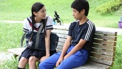 Recommandation 1