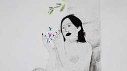 The Shadow of the Butterflies background image