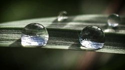 Recommandation 1