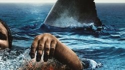 The Reef background image