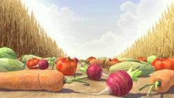 Recommandation 1