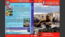 Recommandation 1