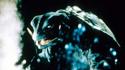 Gamera the Guardian of the Universe