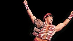 WWE SummerSlam 1996