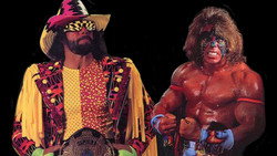 WWE SummerSlam 1992
