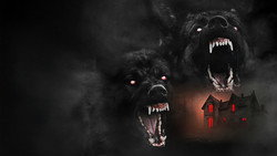 The Dogs