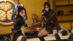 Ninja Wars: BlackFox vs Shogun's Ninja