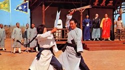 The One Armed Swordsmen