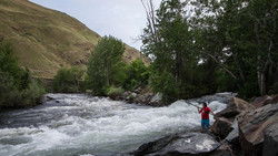 Covenant of the Salmon People