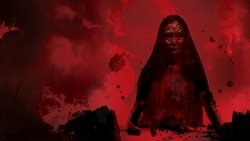 11:11: What Did You See?