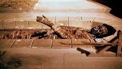 Dawn of the Mummy