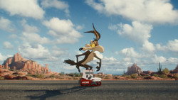 Coyote vs ACME