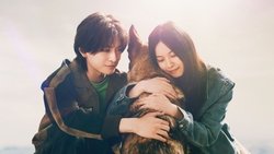 The Boy and the Dog