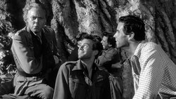 Ill Met by Moonlight