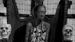 The Leech Woman