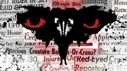 Eyes of the Mothman