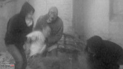 Murder Collection V.1