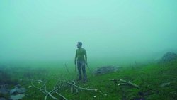 100 Days of Loneliness