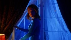 The Night Sitter