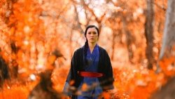 Immortal Fist: The Legend of Wing Chun