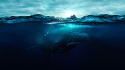 Fathom