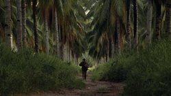 The Thin Red Line