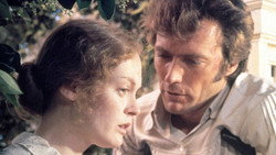 The Beguiled