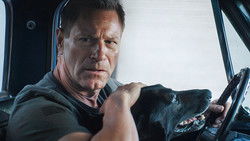 Muzzle: City of Wolves