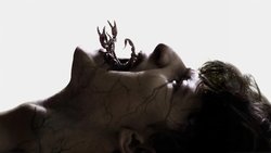 Shaman