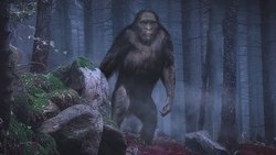 On the Trail of Bigfoot: The Discovery