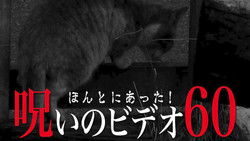 Honto ni Atta! Noroi no Video Vol. 60