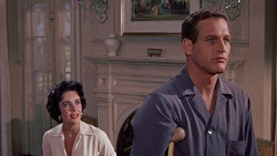 Cat on a Hot Tin Roof