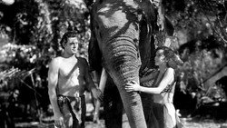 Tarzan and His Mate