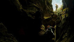 Apex