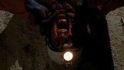 Alien 2: On Earth