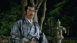 Shogun's Shadow