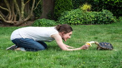 Laggies